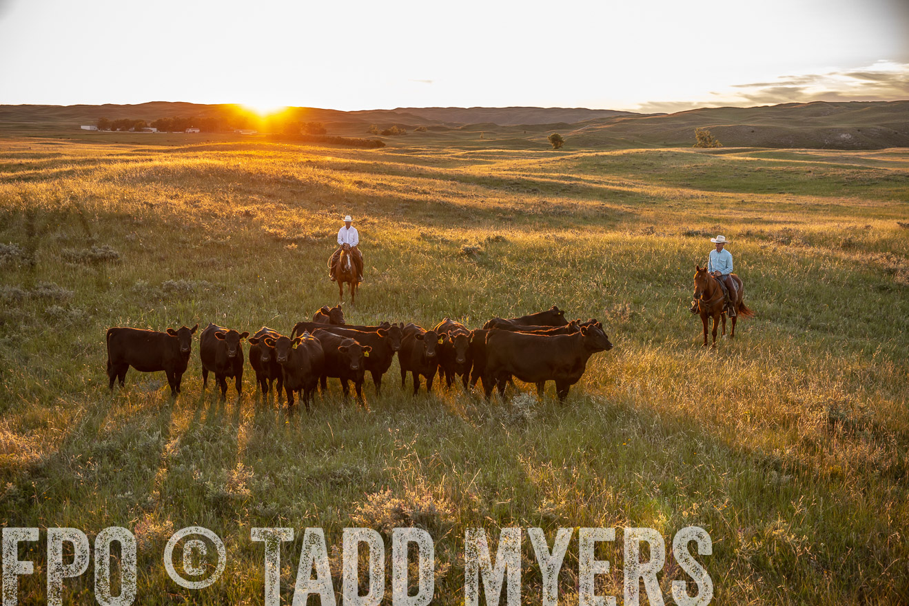 PP_TuckerRanch_NE_July2019-42604