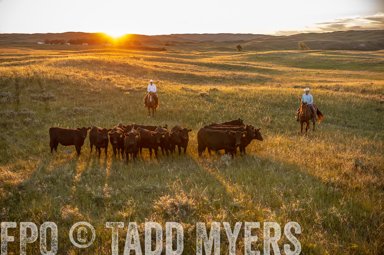 PP_TuckerRanch_NE_July2019-42610