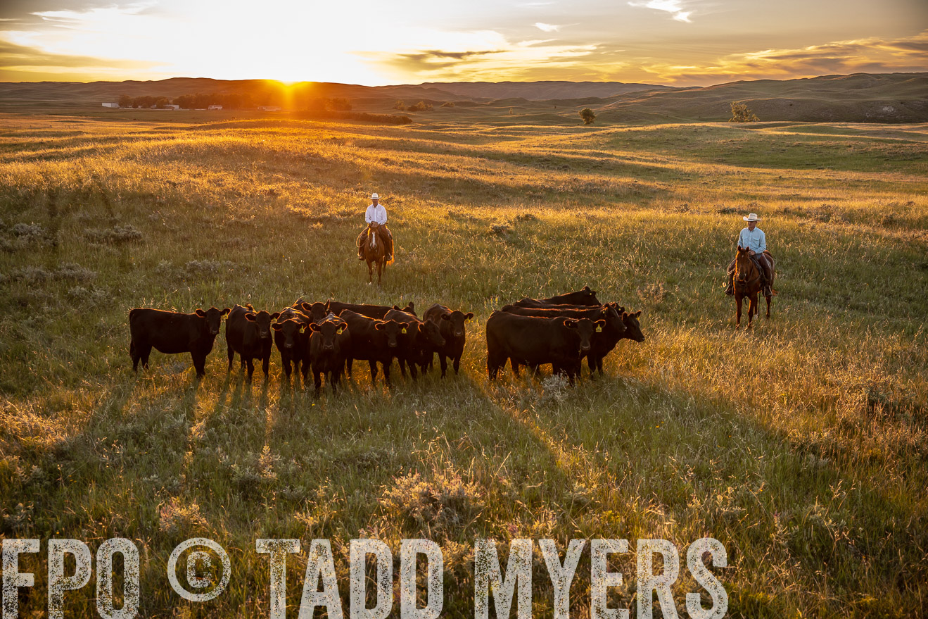 PP_TuckerRanch_NE_July2019-42611
