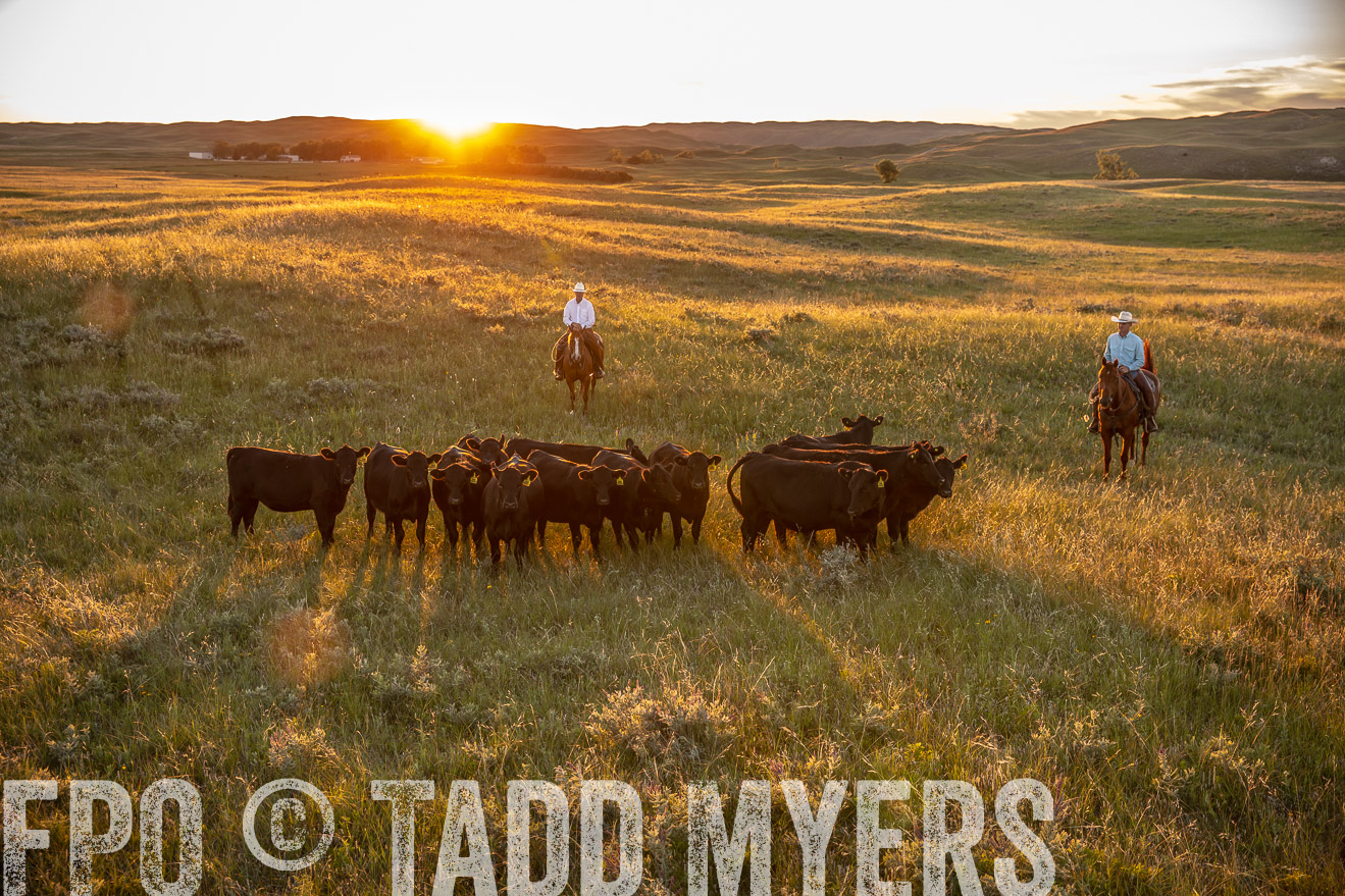PP_TuckerRanch_NE_July2019-42613