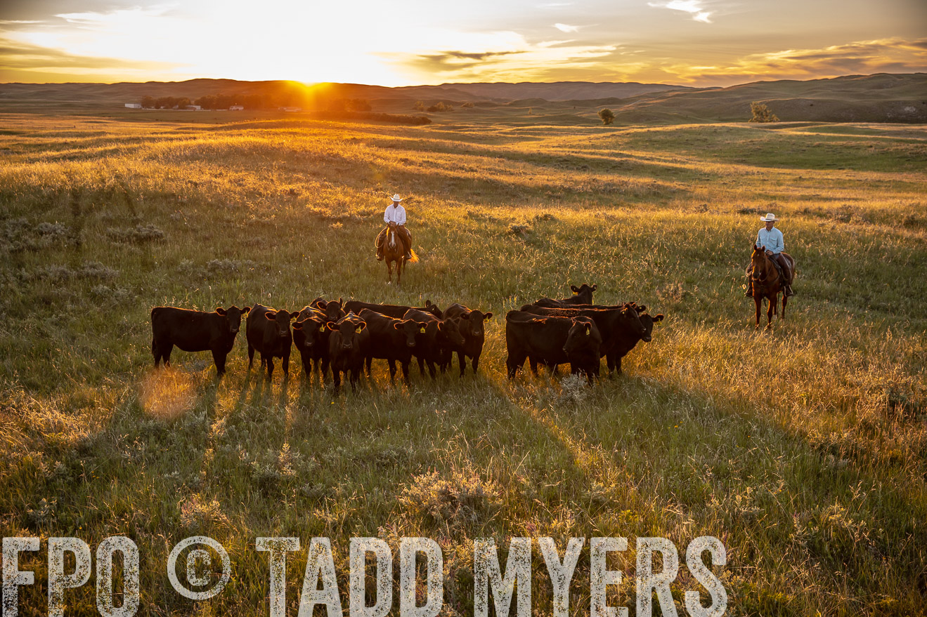 PP_TuckerRanch_NE_July2019-42614