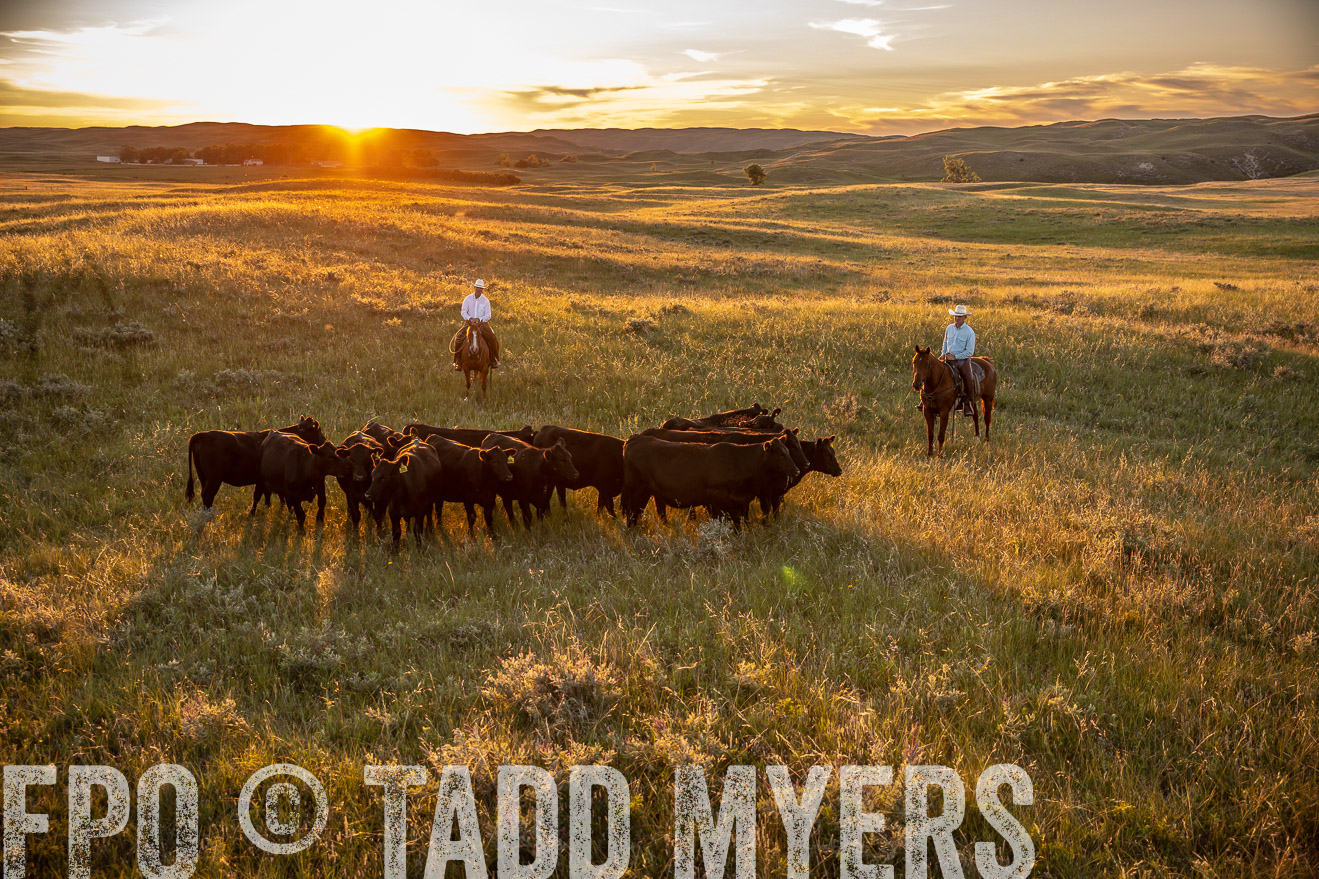 PP_TuckerRanch_NE_July2019-42623