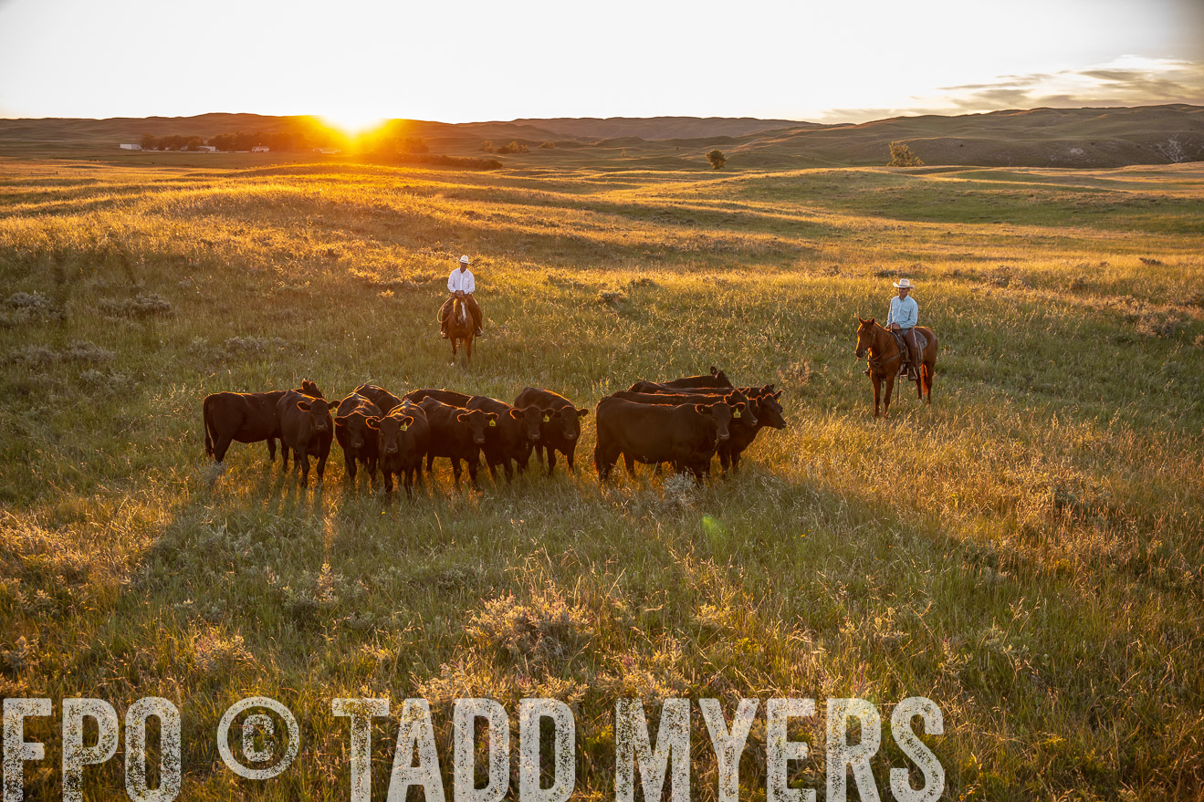 PP_TuckerRanch_NE_July2019-42625