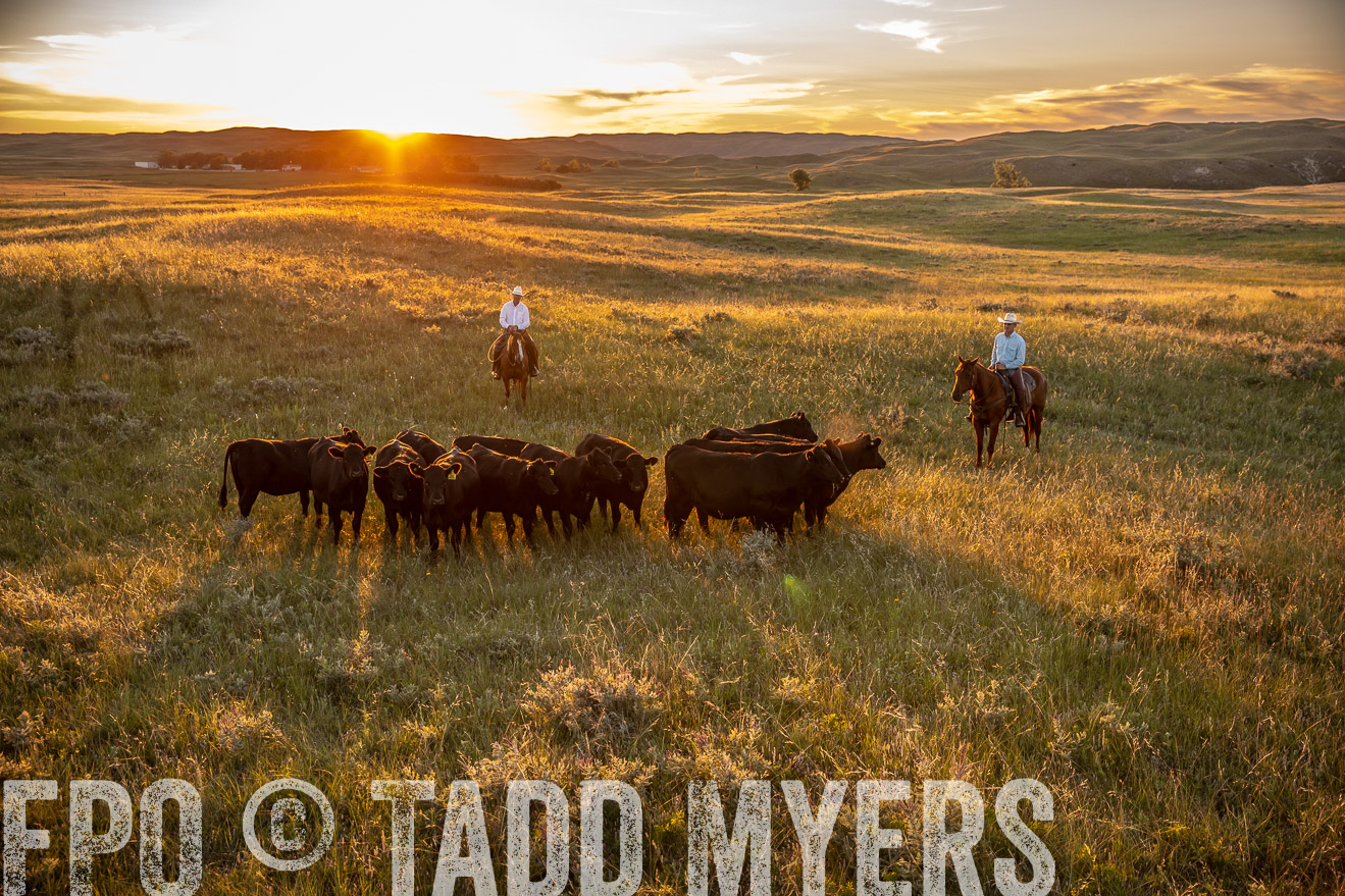 PP_TuckerRanch_NE_July2019-42629