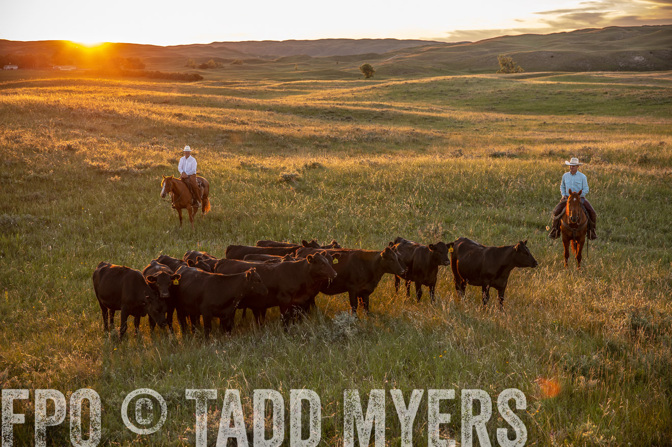 PP_TuckerRanch_NE_July2019-42661