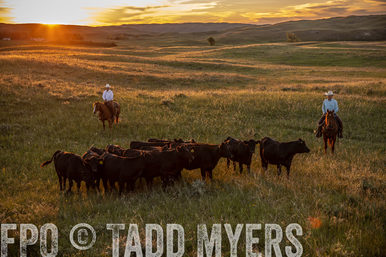 PP_TuckerRanch_NE_July2019-42662