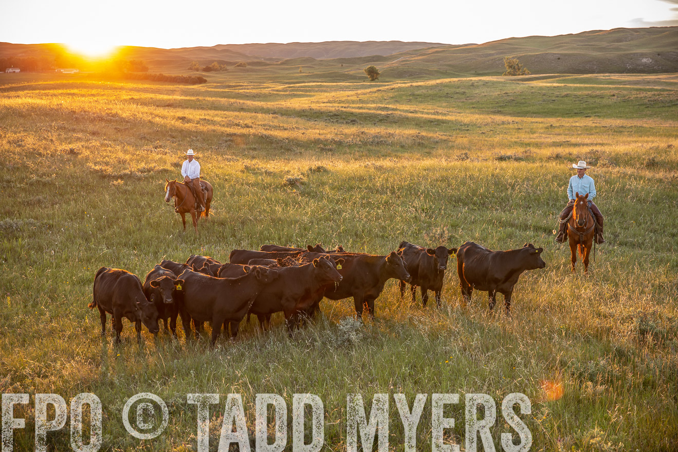 PP_TuckerRanch_NE_July2019-42663