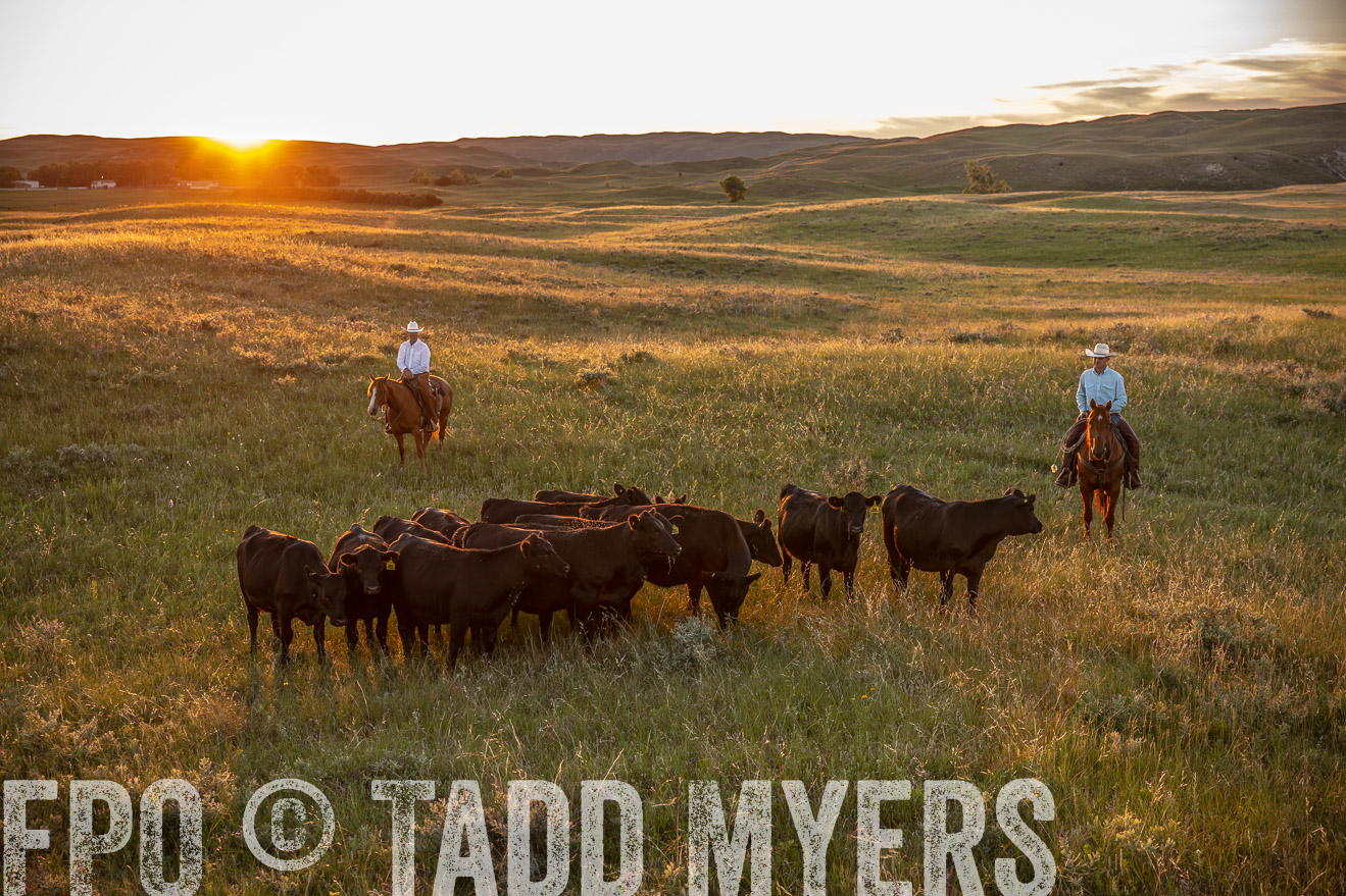 PP_TuckerRanch_NE_July2019-42664