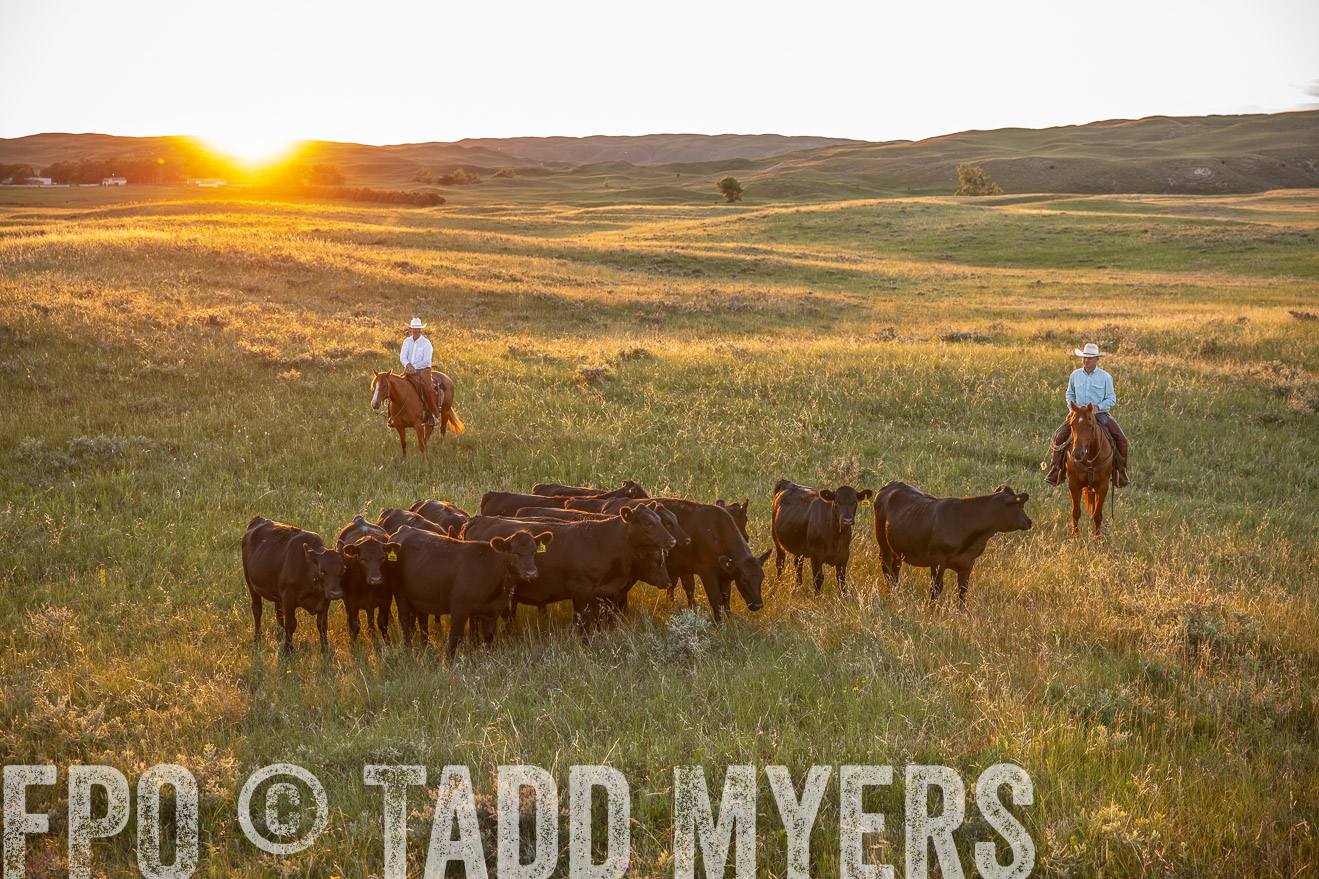 PP_TuckerRanch_NE_July2019-42666