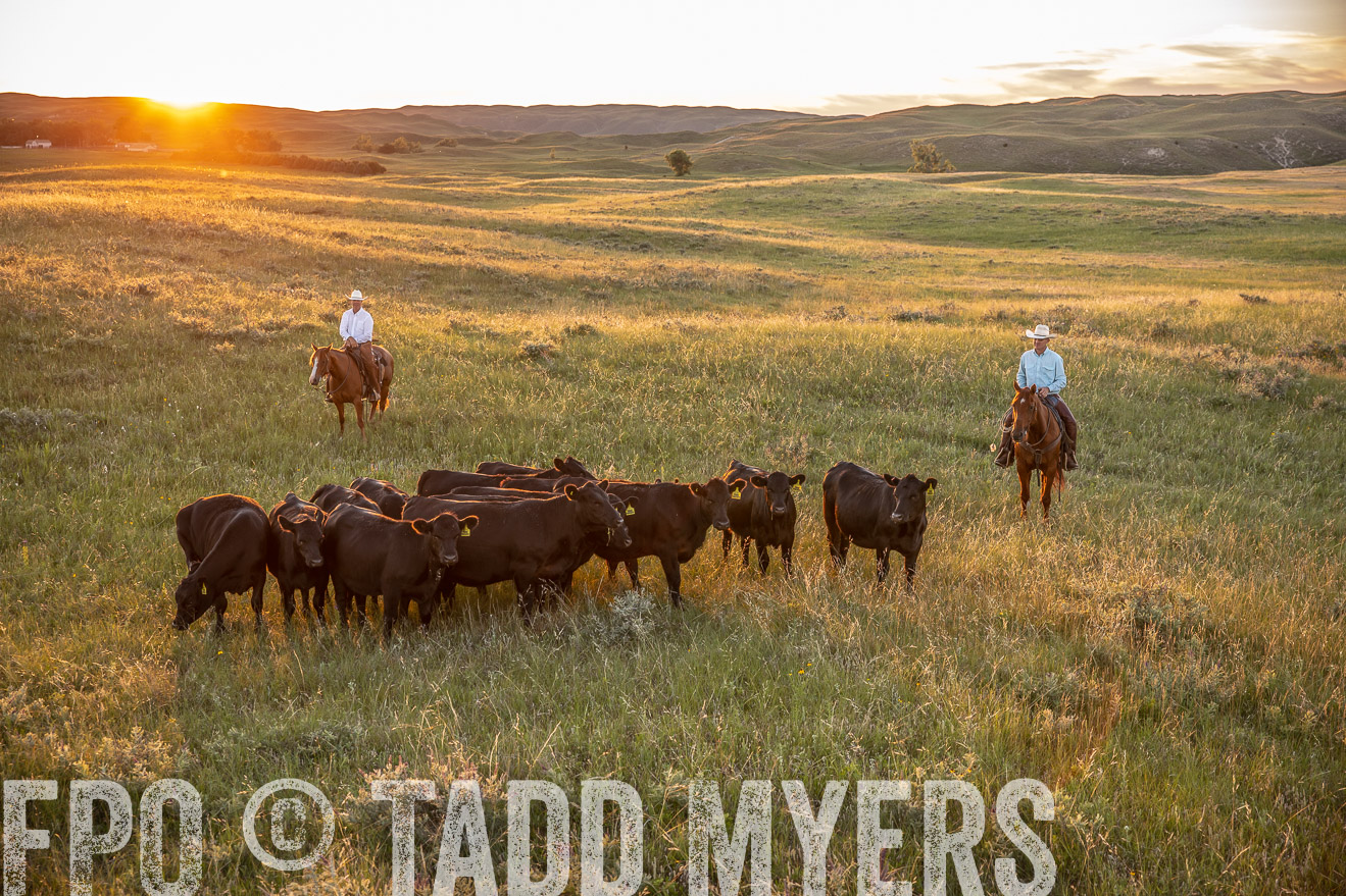 PP_TuckerRanch_NE_July2019-42667