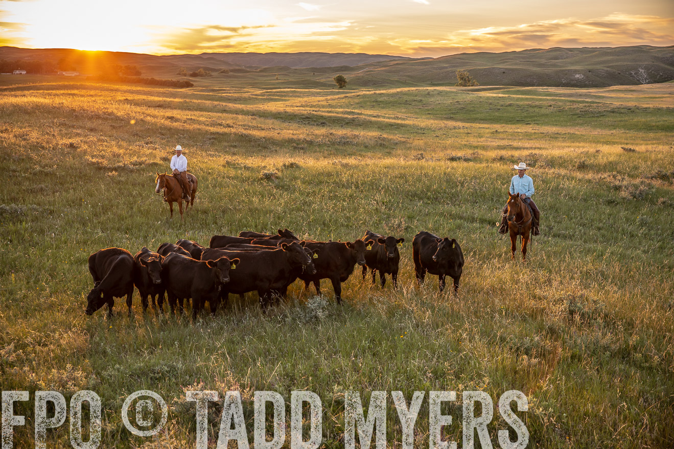 PP_TuckerRanch_NE_July2019-42668