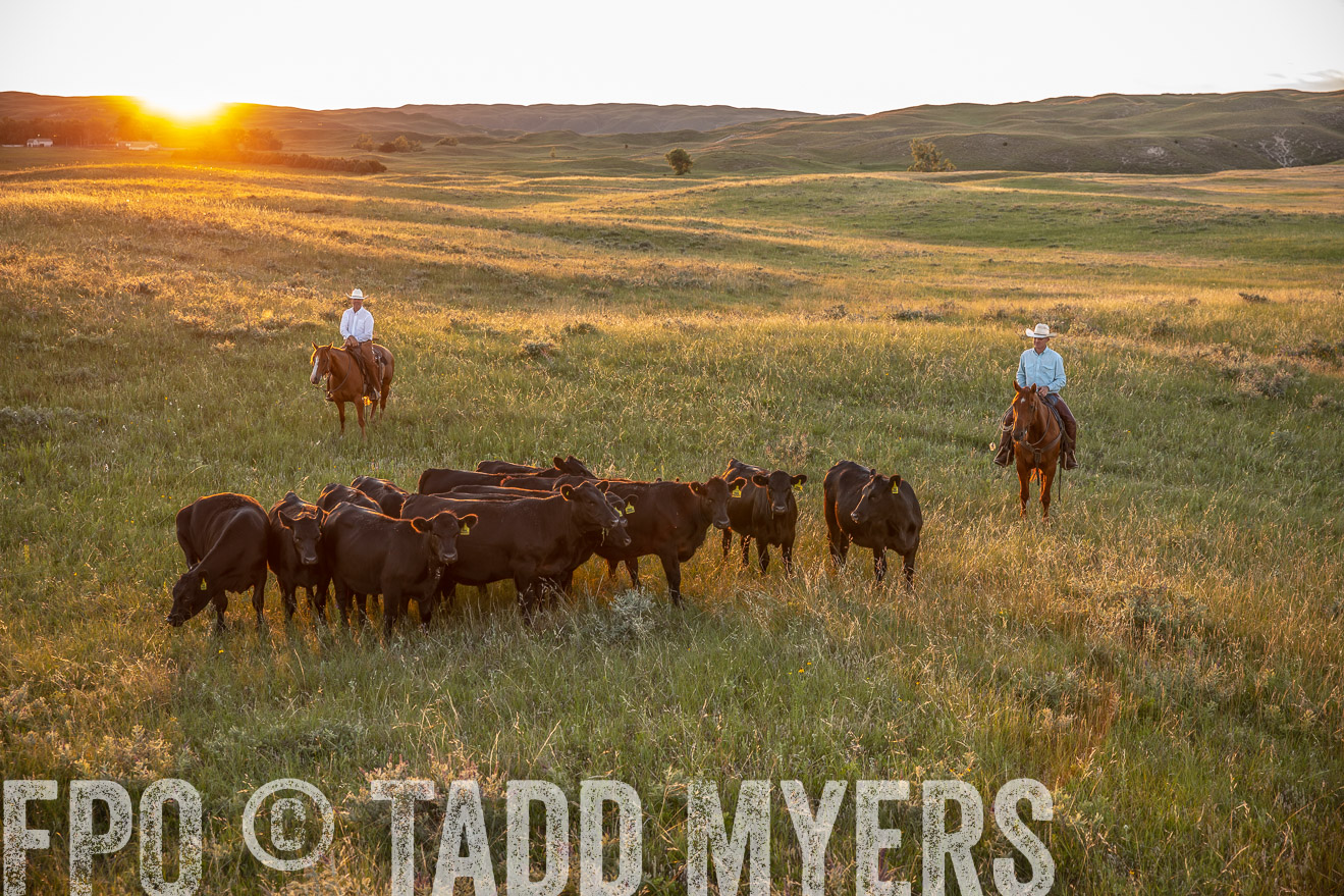 PP_TuckerRanch_NE_July2019-42669