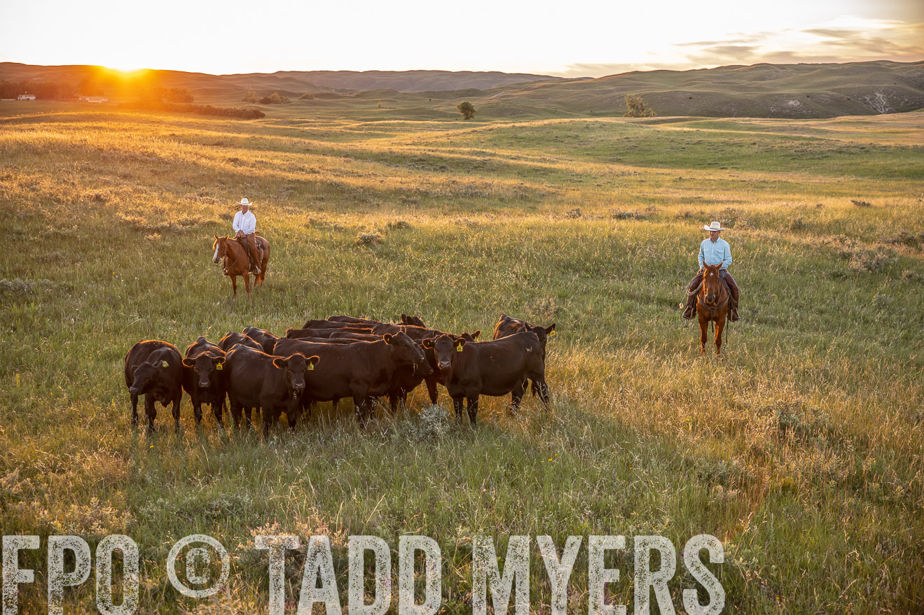 PP_TuckerRanch_NE_July2019-42670