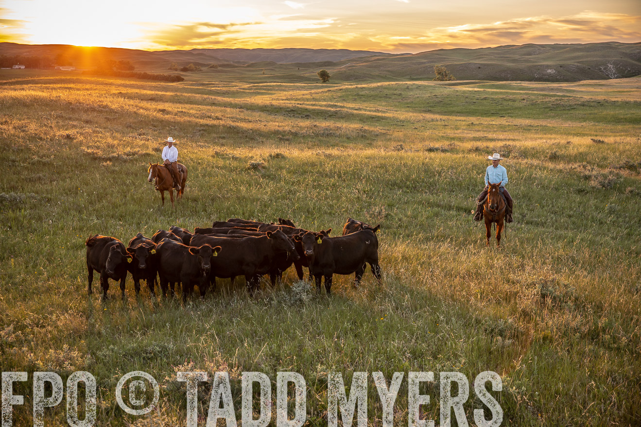 PP_TuckerRanch_NE_July2019-42671