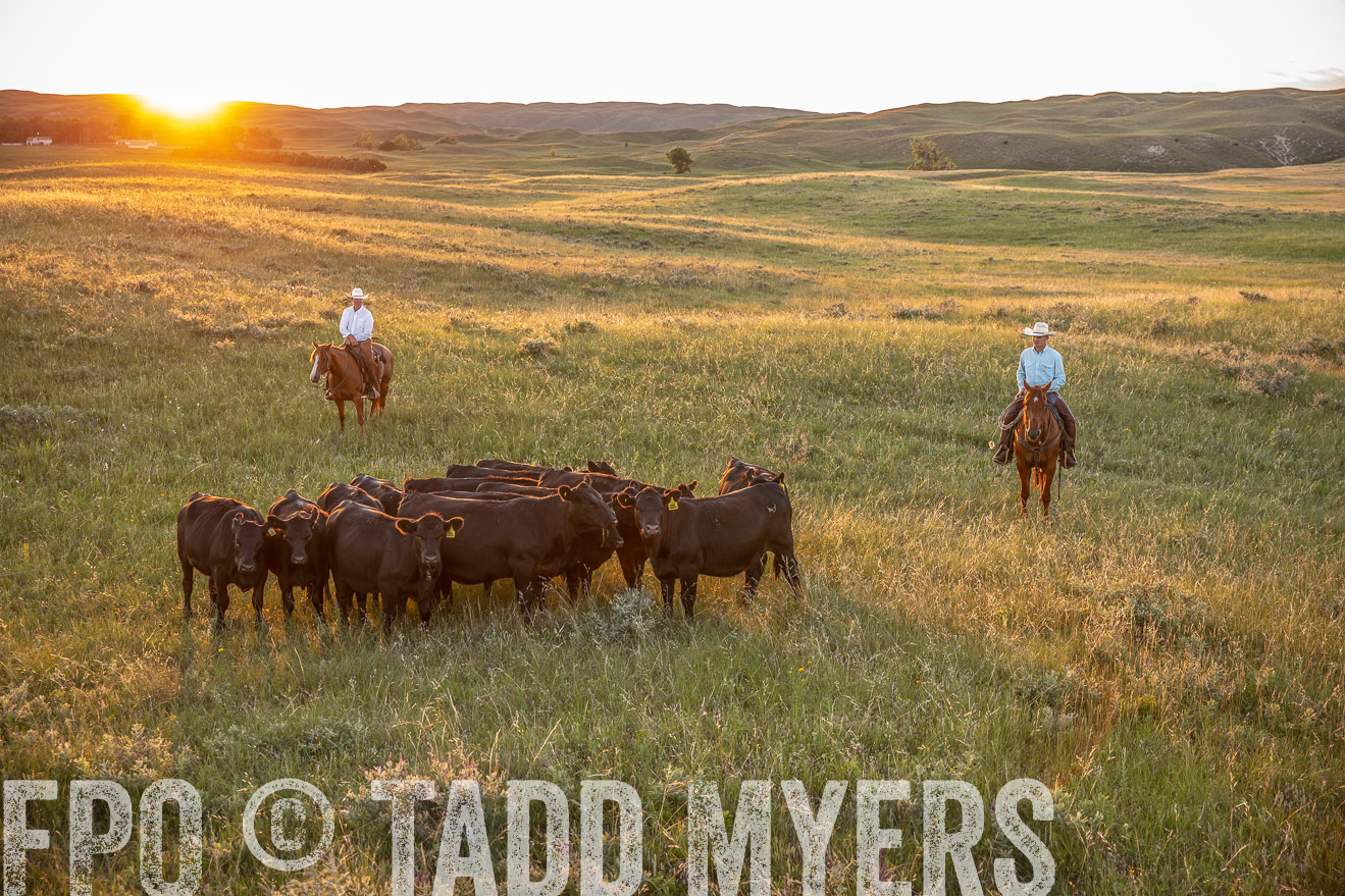 PP_TuckerRanch_NE_July2019-42672