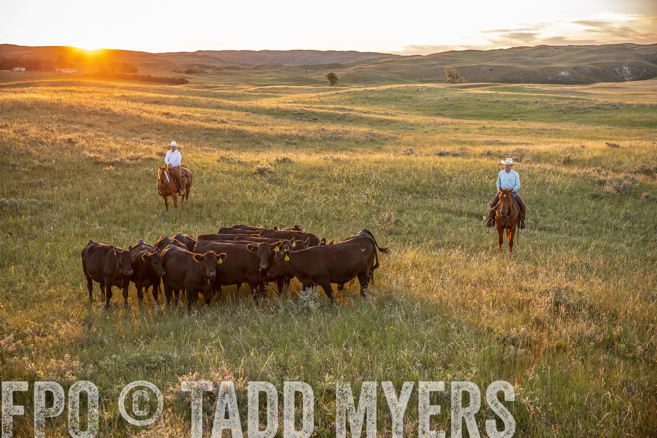 PP_TuckerRanch_NE_July2019-42673