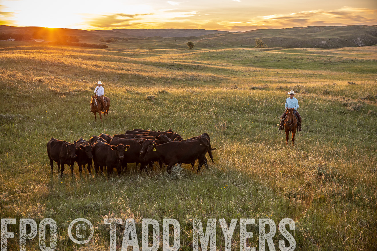 PP_TuckerRanch_NE_July2019-42674