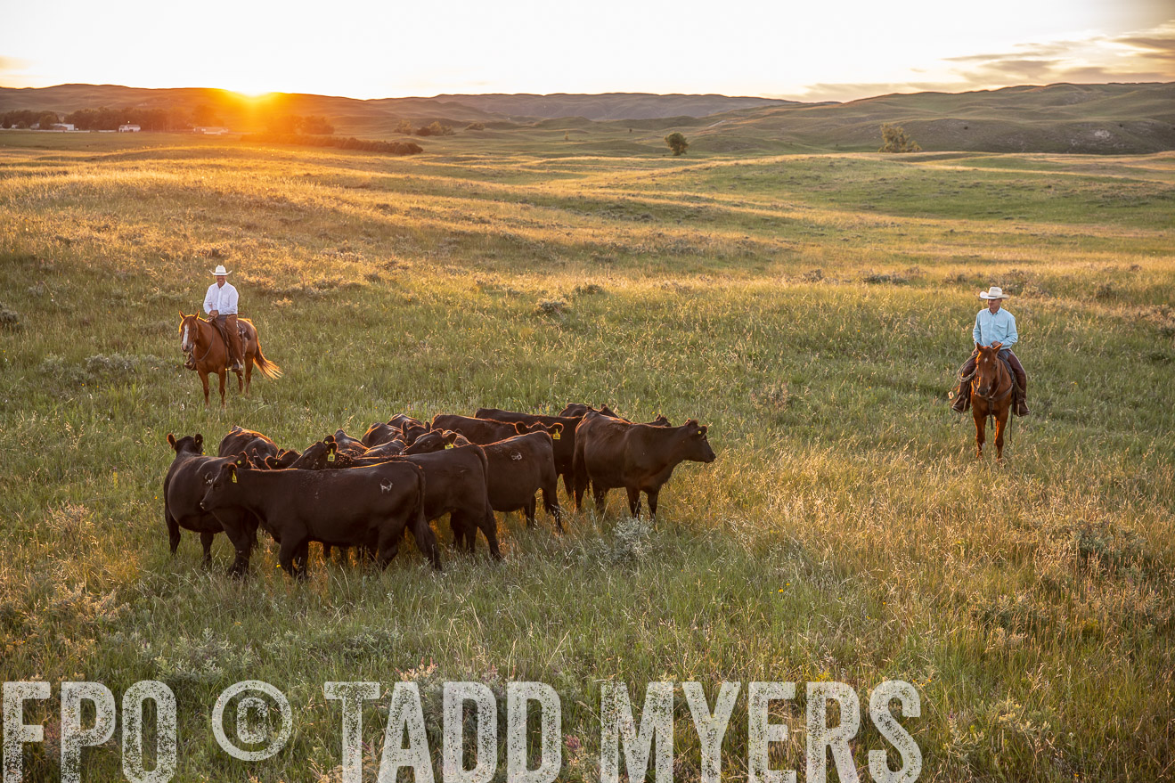PP_TuckerRanch_NE_July2019-42679