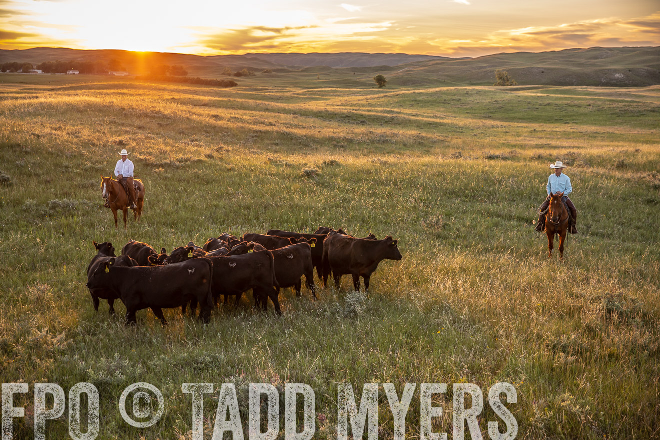 PP_TuckerRanch_NE_July2019-42680