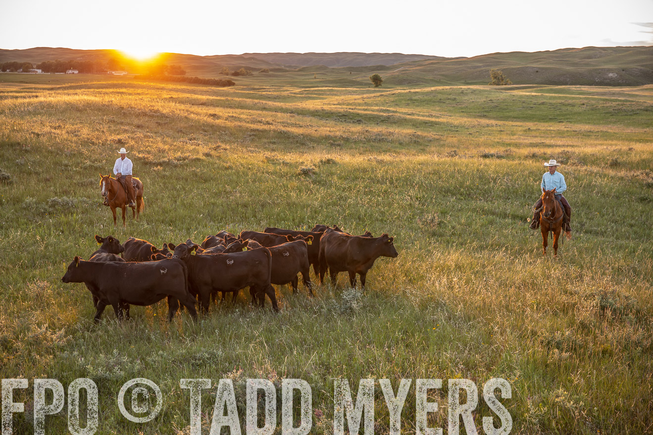 PP_TuckerRanch_NE_July2019-42681
