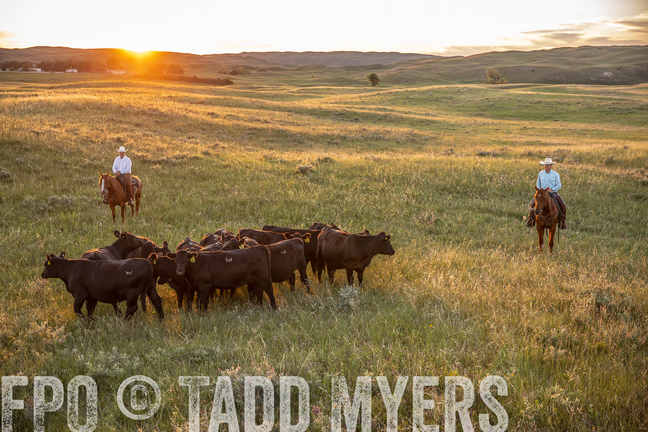 PP_TuckerRanch_NE_July2019-42682