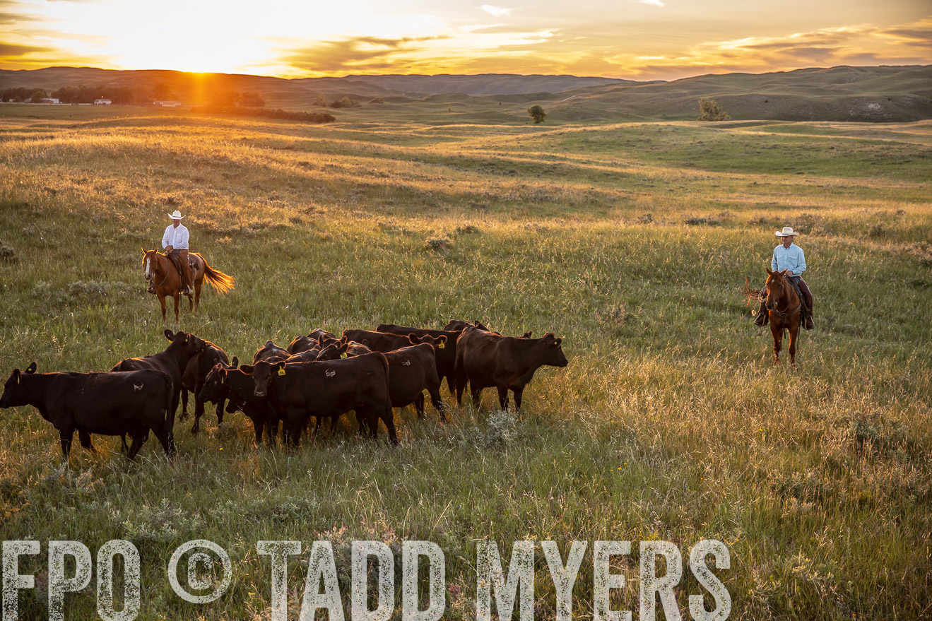 PP_TuckerRanch_NE_July2019-42683