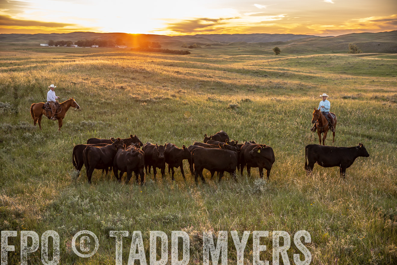 PP_TuckerRanch_NE_July2019-42686
