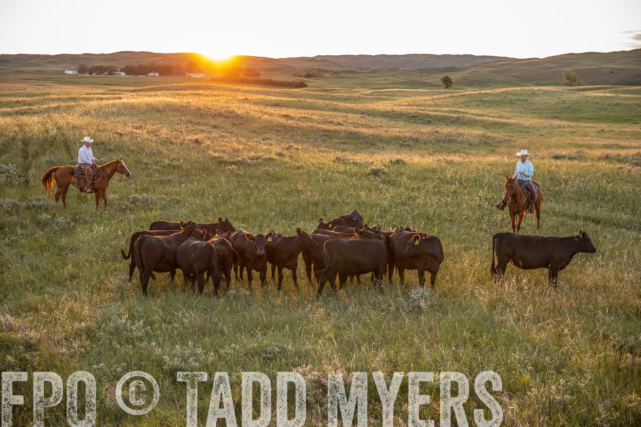 PP_TuckerRanch_NE_July2019-42687
