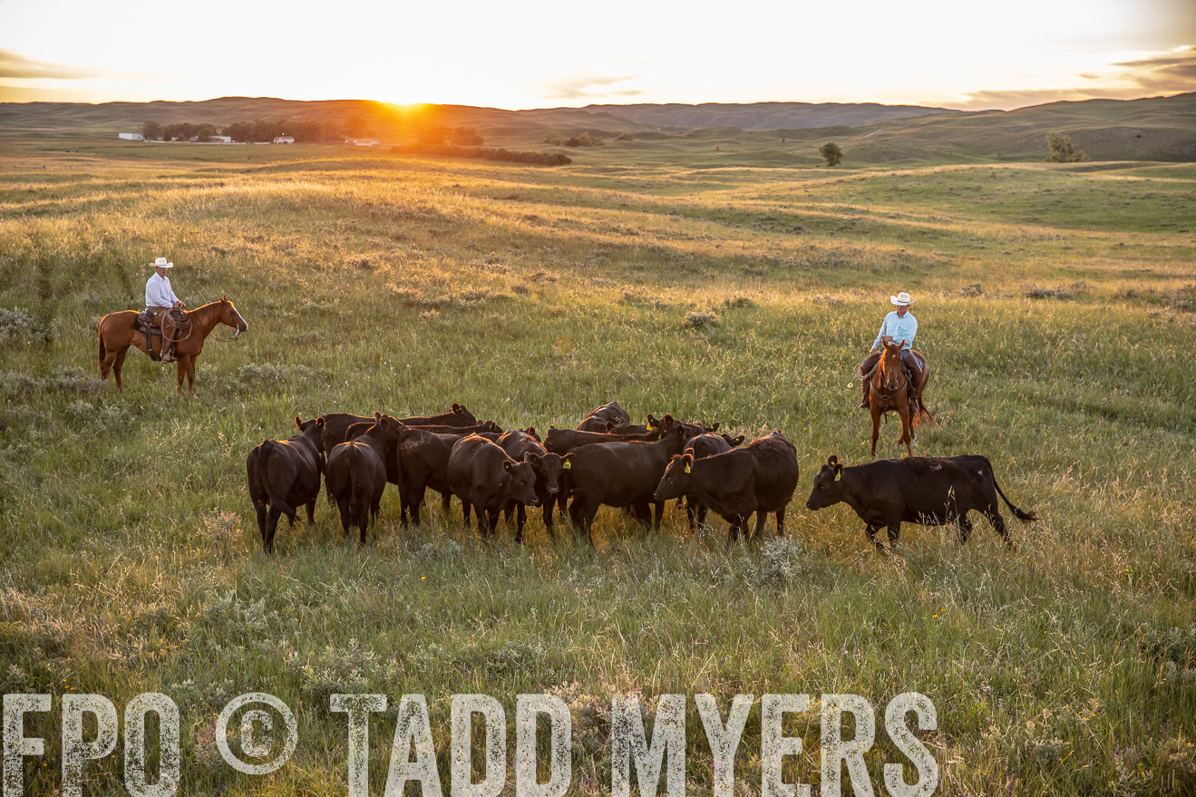 PP_TuckerRanch_NE_July2019-42688