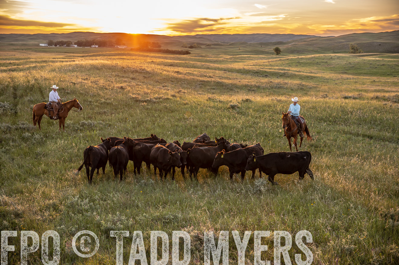 PP_TuckerRanch_NE_July2019-42689