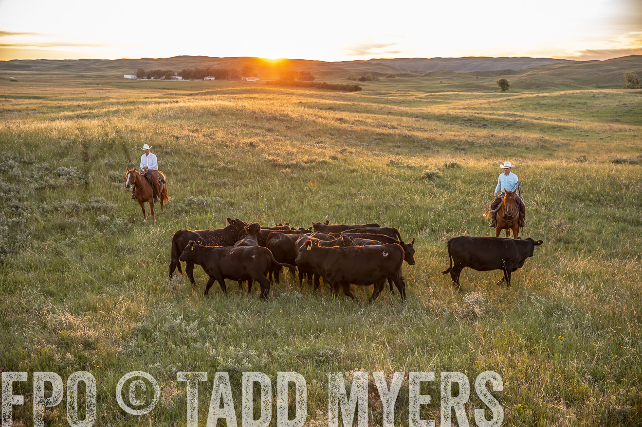 PP_TuckerRanch_NE_July2019-42691