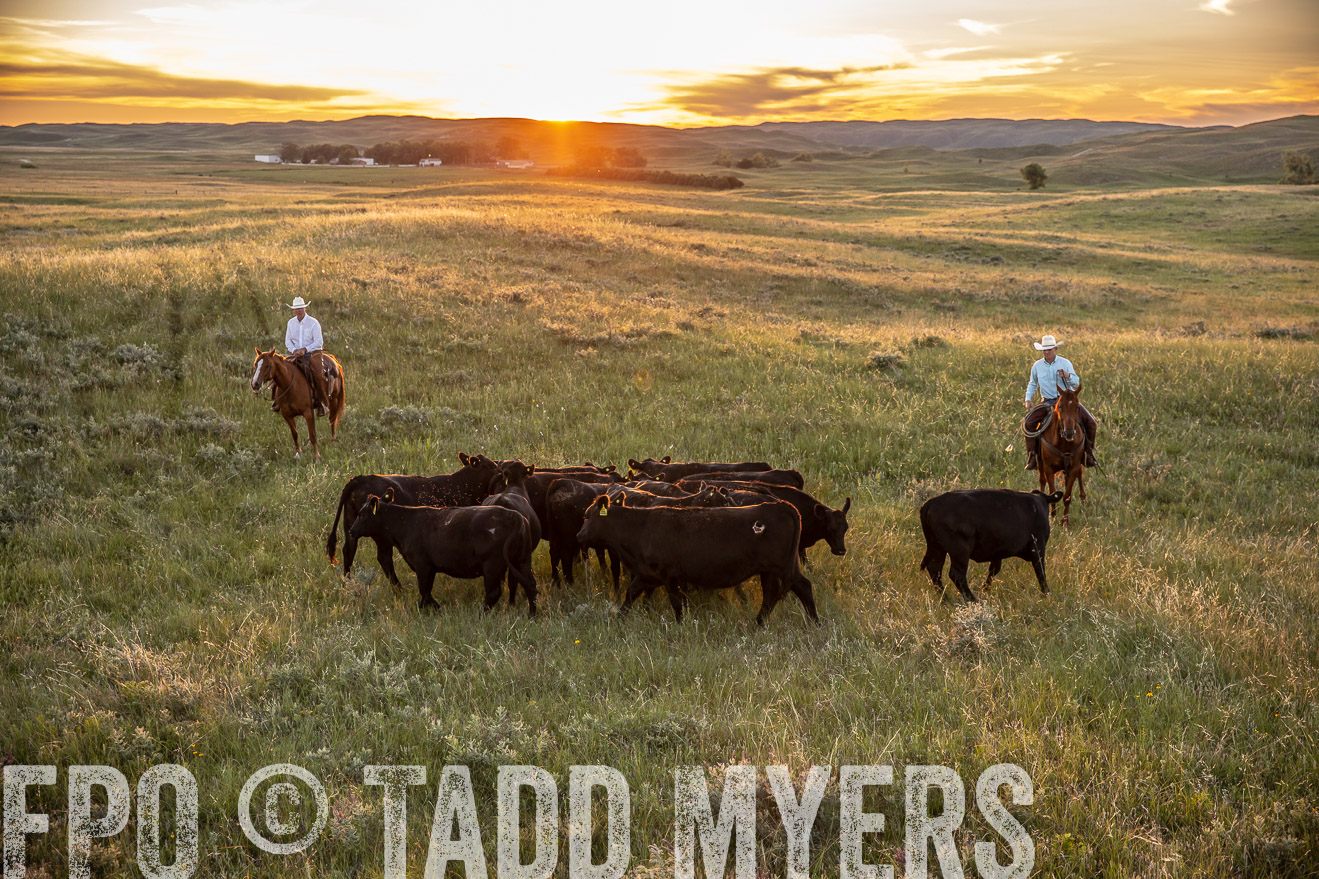 PP_TuckerRanch_NE_July2019-42692