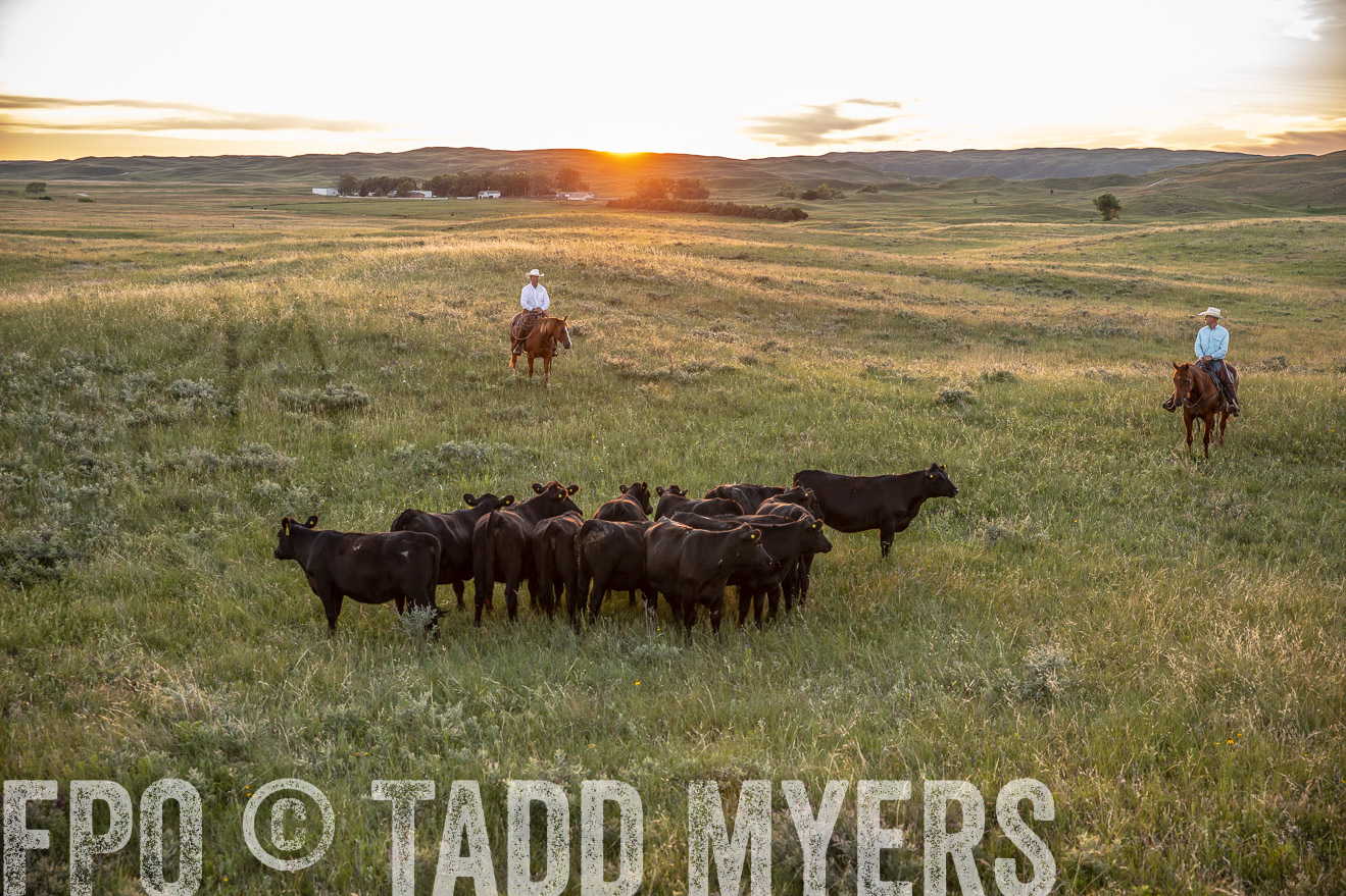 PP_TuckerRanch_NE_July2019-42694