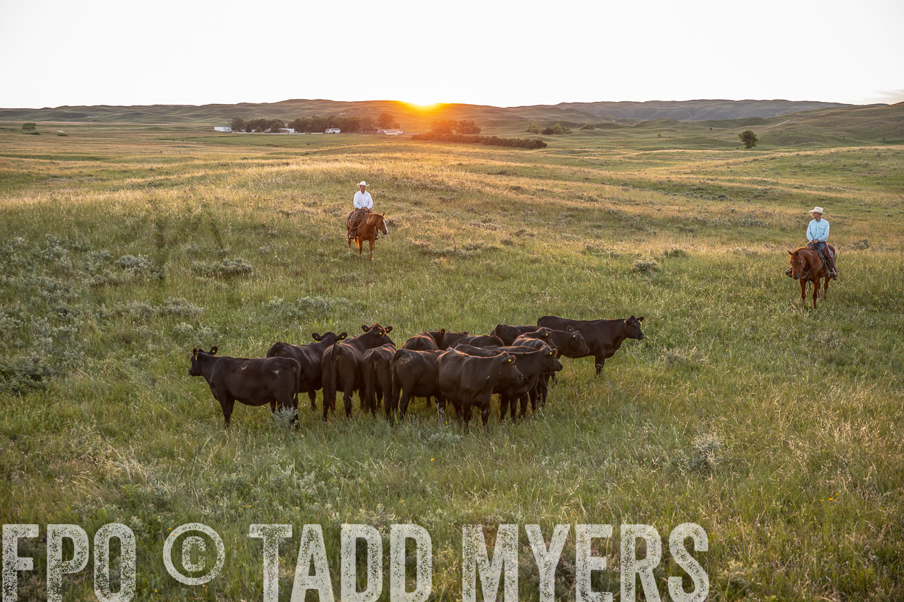 PP_TuckerRanch_NE_July2019-42696