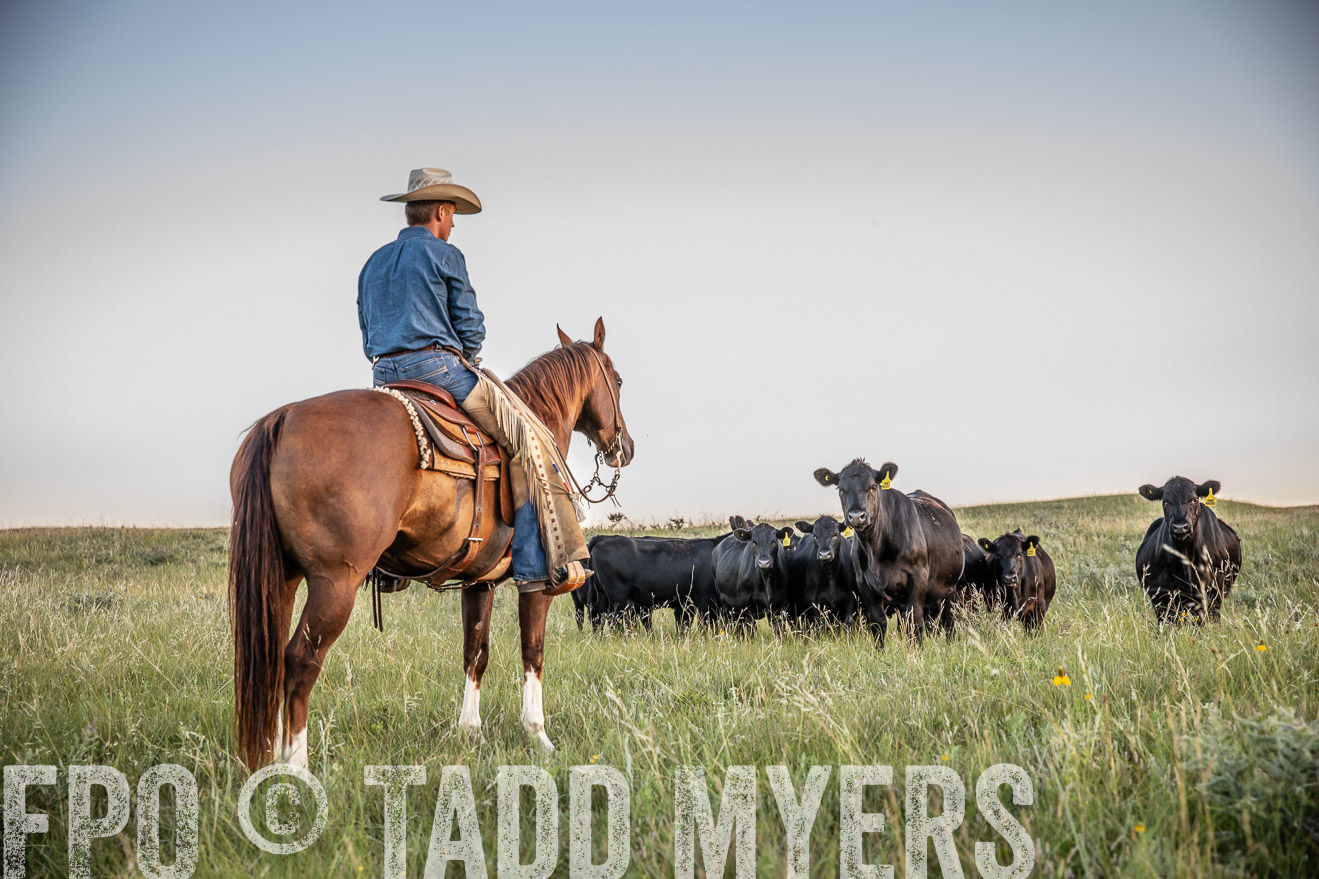 PP_TuckerRanch_NE_July2019-42702
