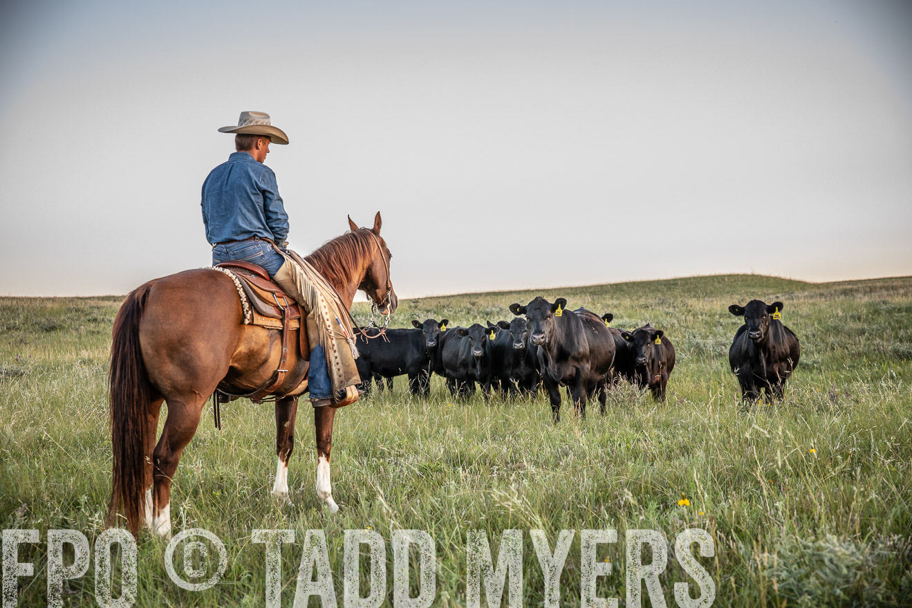 PP_TuckerRanch_NE_July2019-42704