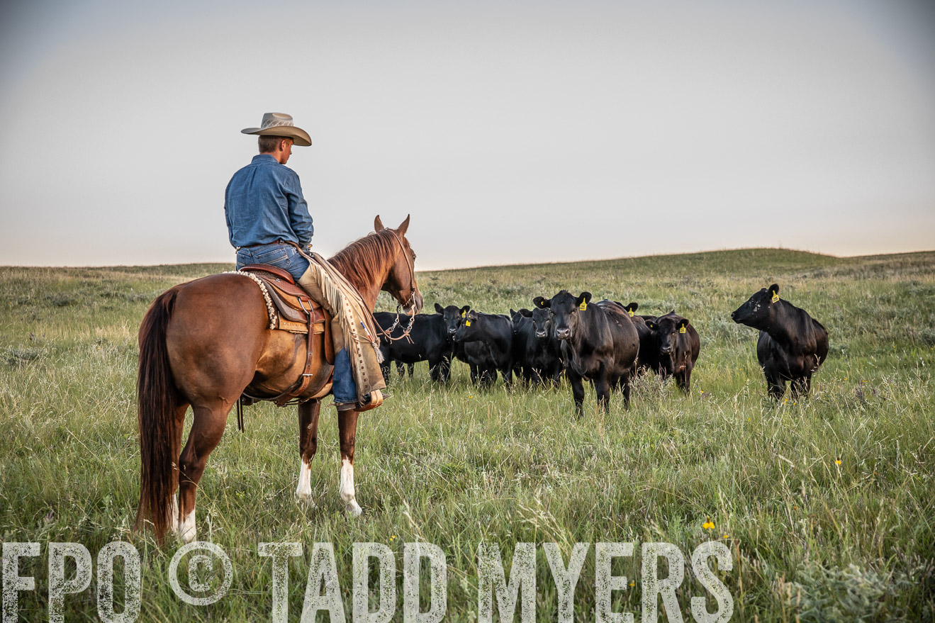PP_TuckerRanch_NE_July2019-42706