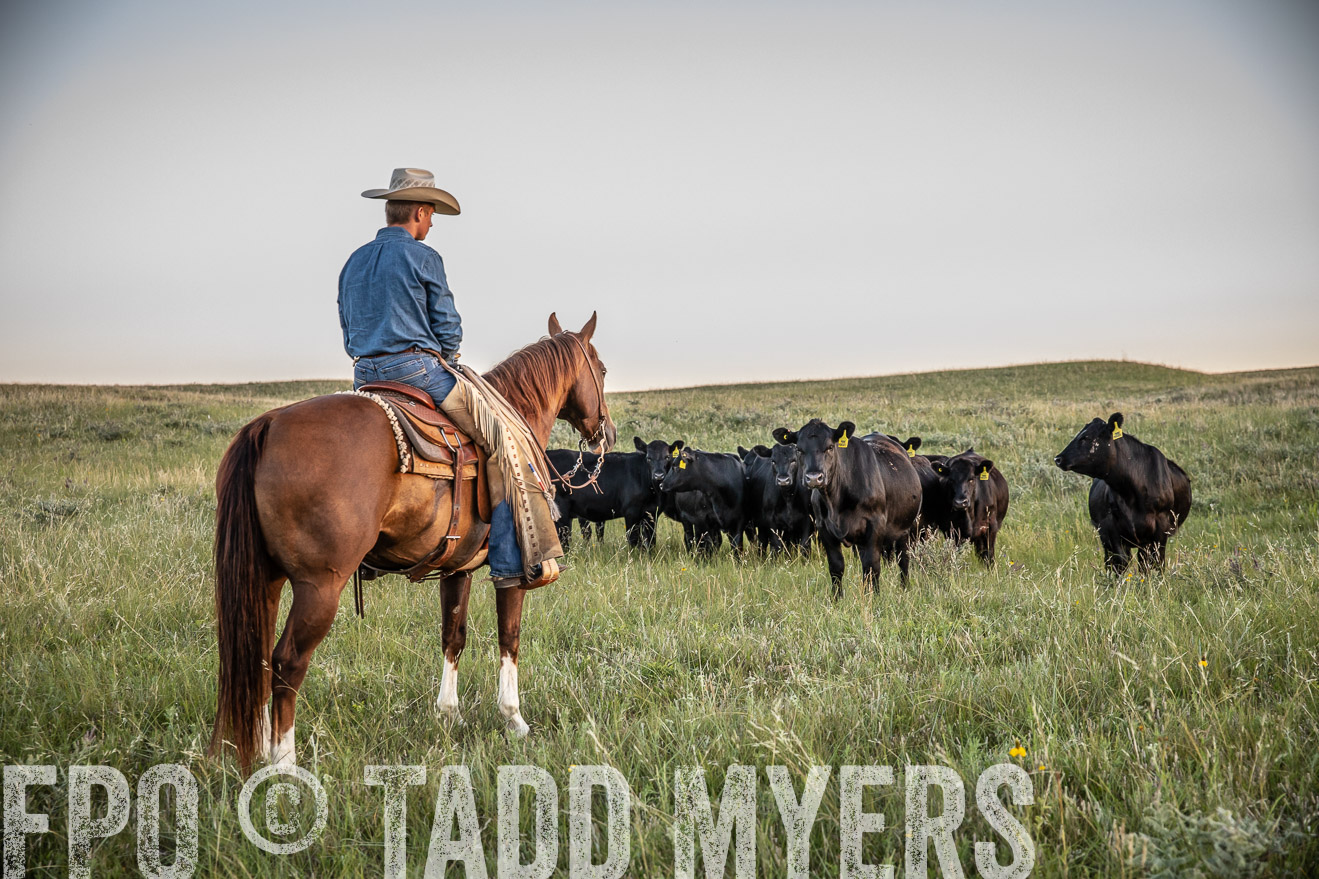 PP_TuckerRanch_NE_July2019-42707
