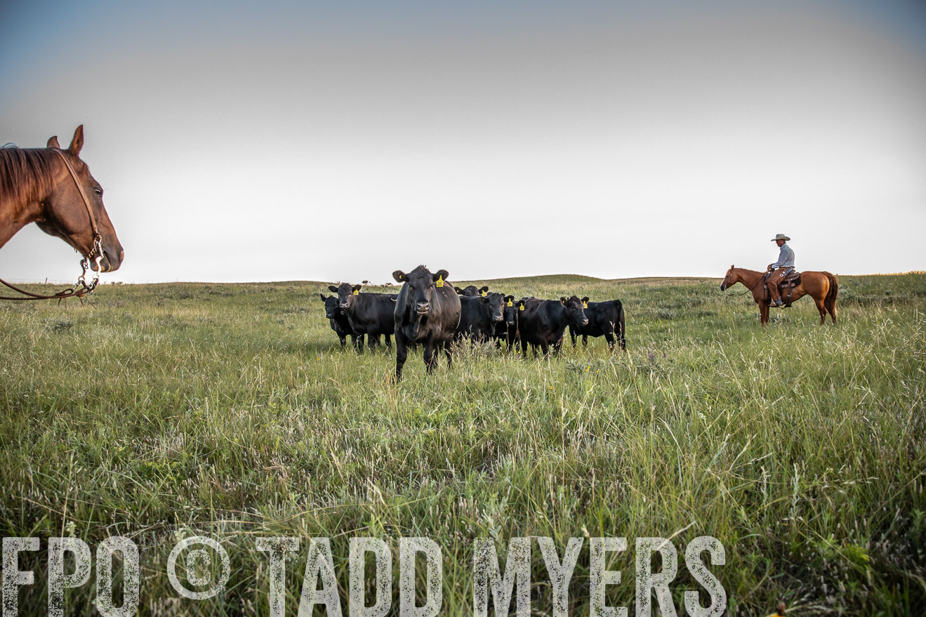PP_TuckerRanch_NE_July2019-42732
