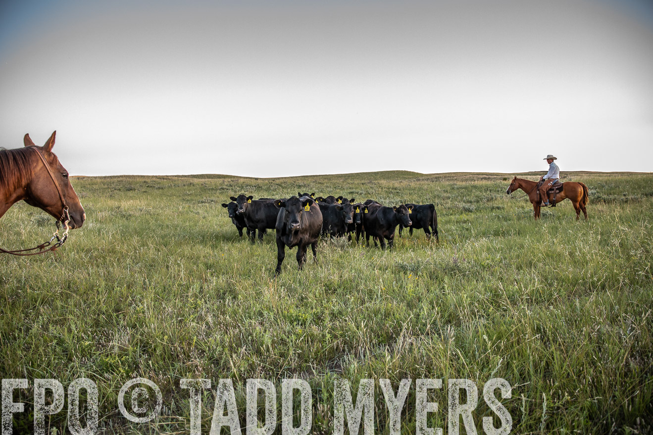 PP_TuckerRanch_NE_July2019-42734