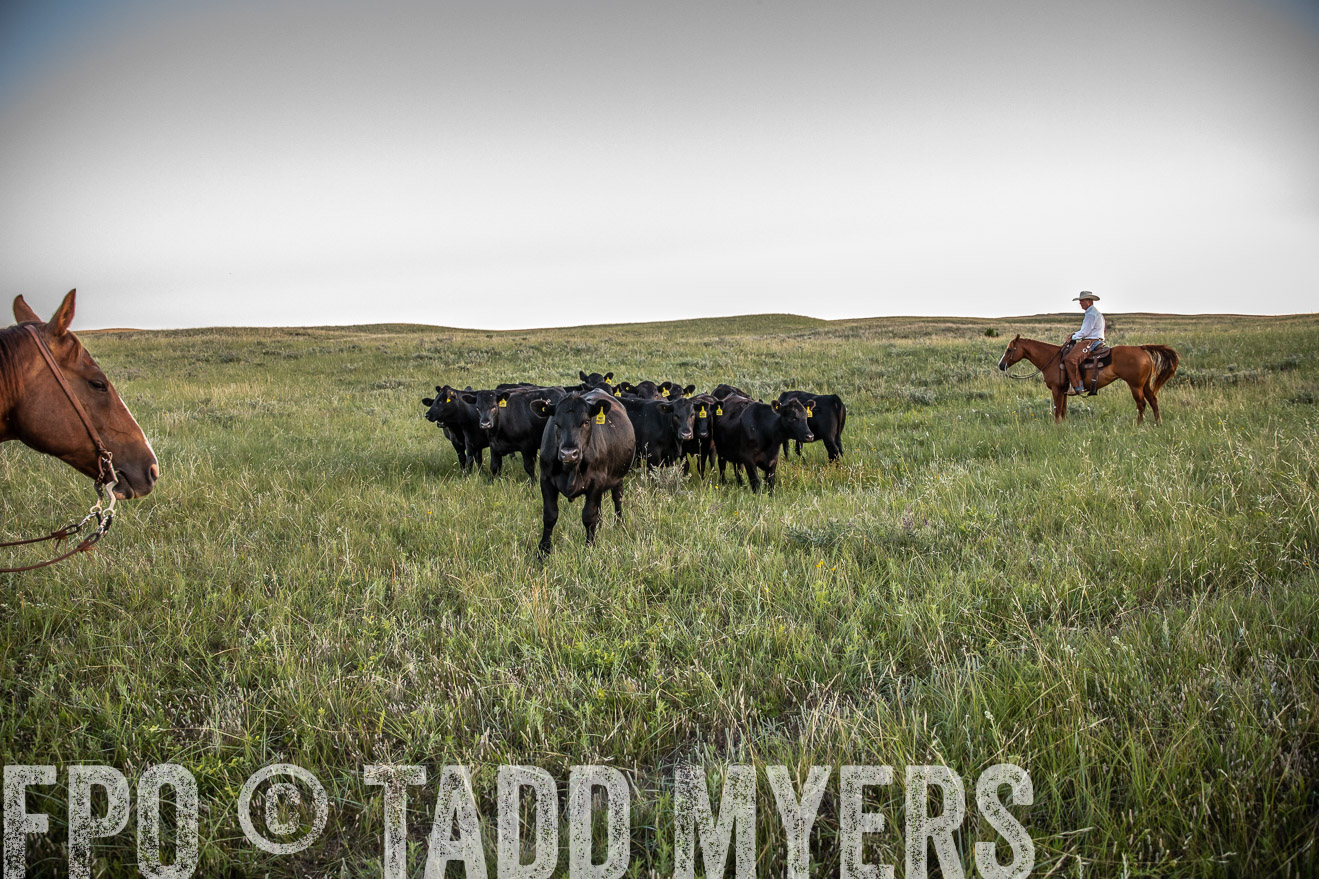 PP_TuckerRanch_NE_July2019-42735