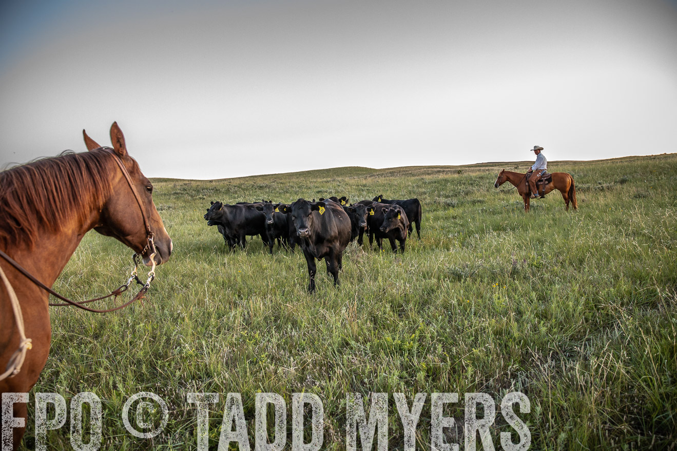 PP_TuckerRanch_NE_July2019-42737