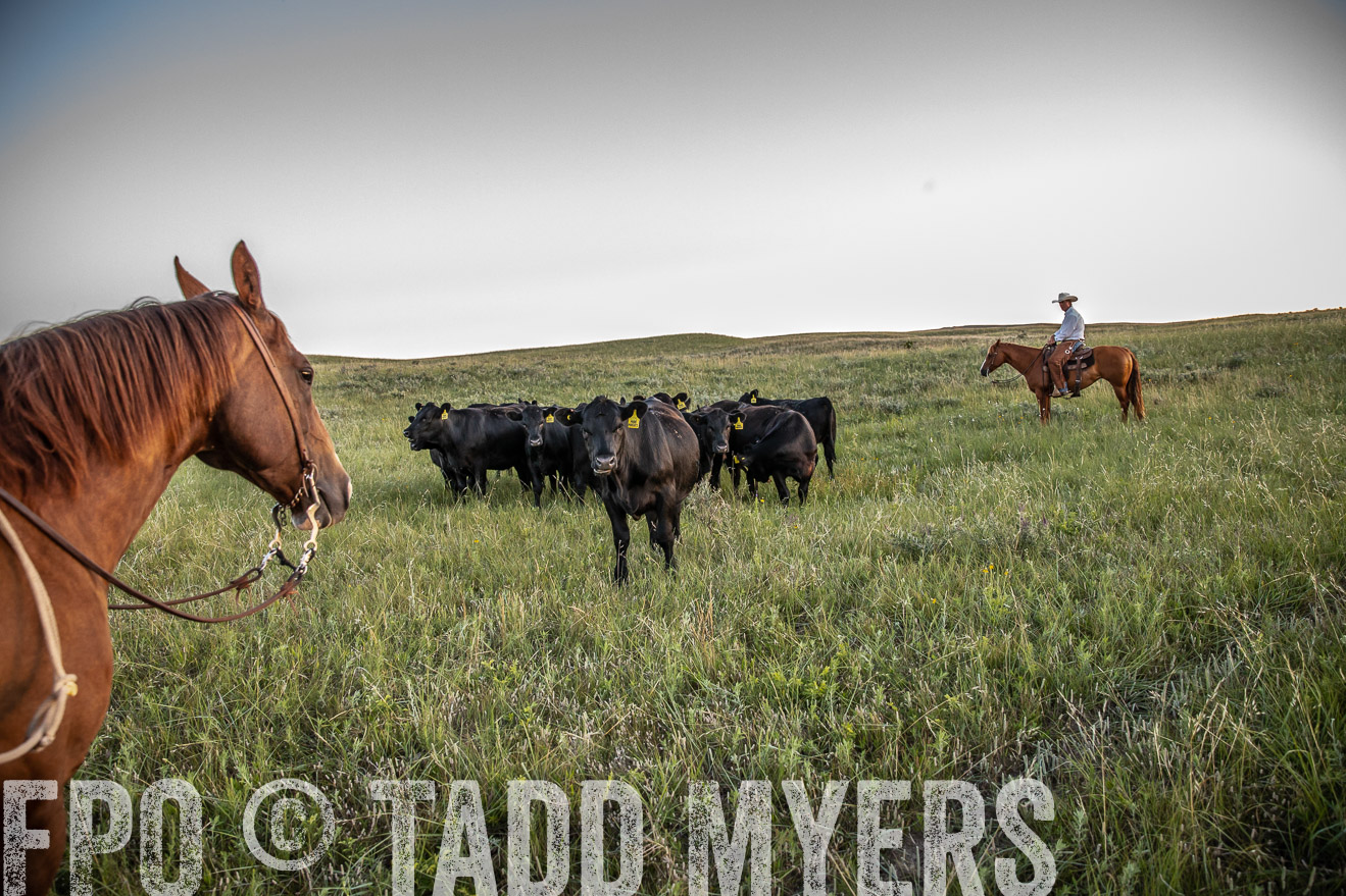 PP_TuckerRanch_NE_July2019-42738