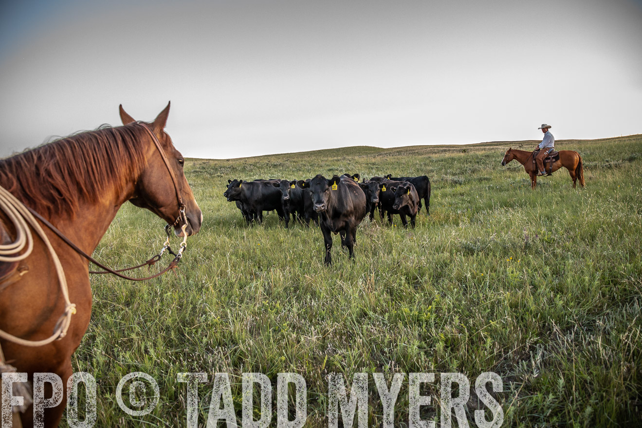 PP_TuckerRanch_NE_July2019-42739