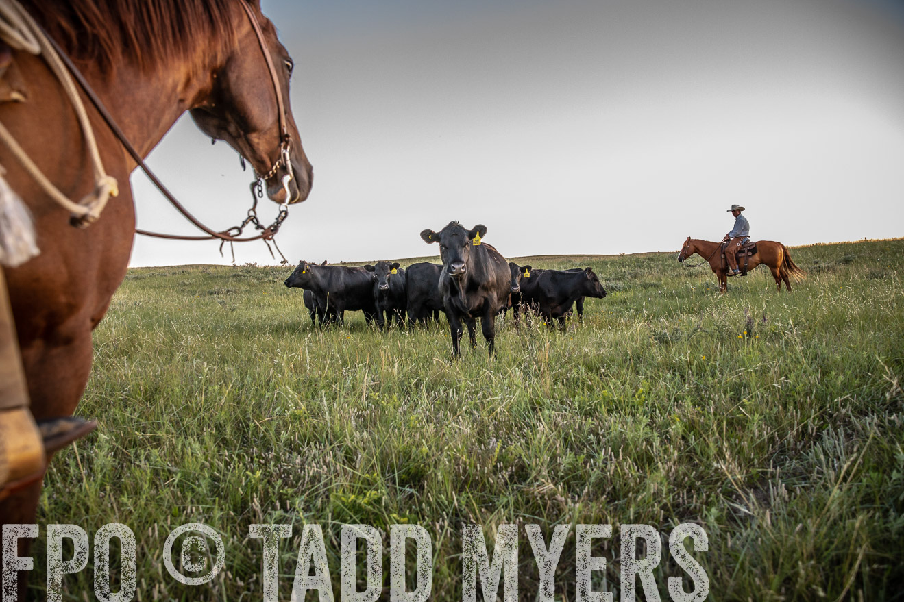 PP_TuckerRanch_NE_July2019-42740