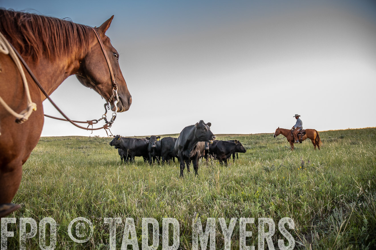 PP_TuckerRanch_NE_July2019-42743