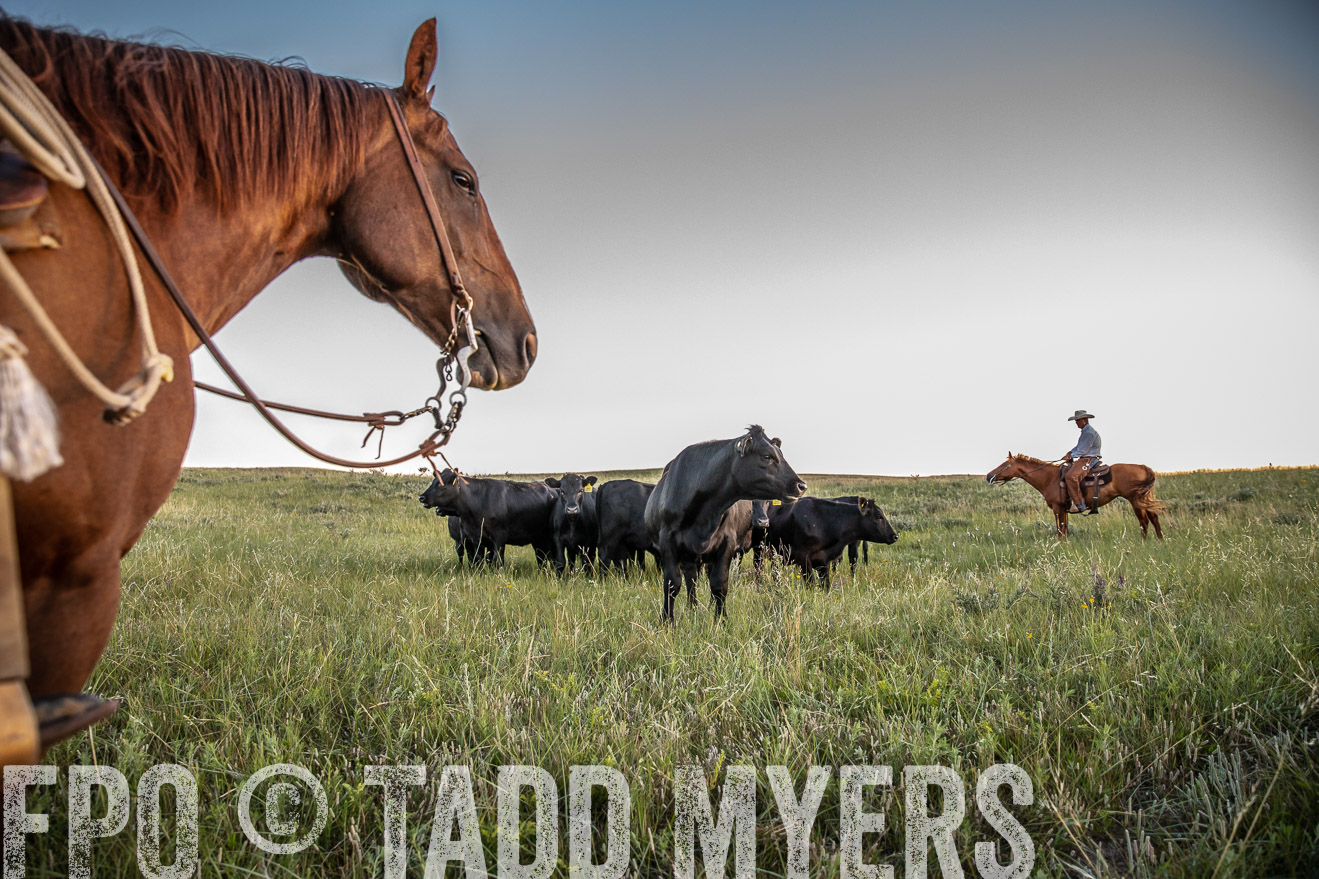 PP_TuckerRanch_NE_July2019-42744