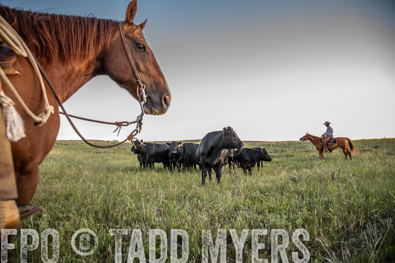 PP_TuckerRanch_NE_July2019-42745