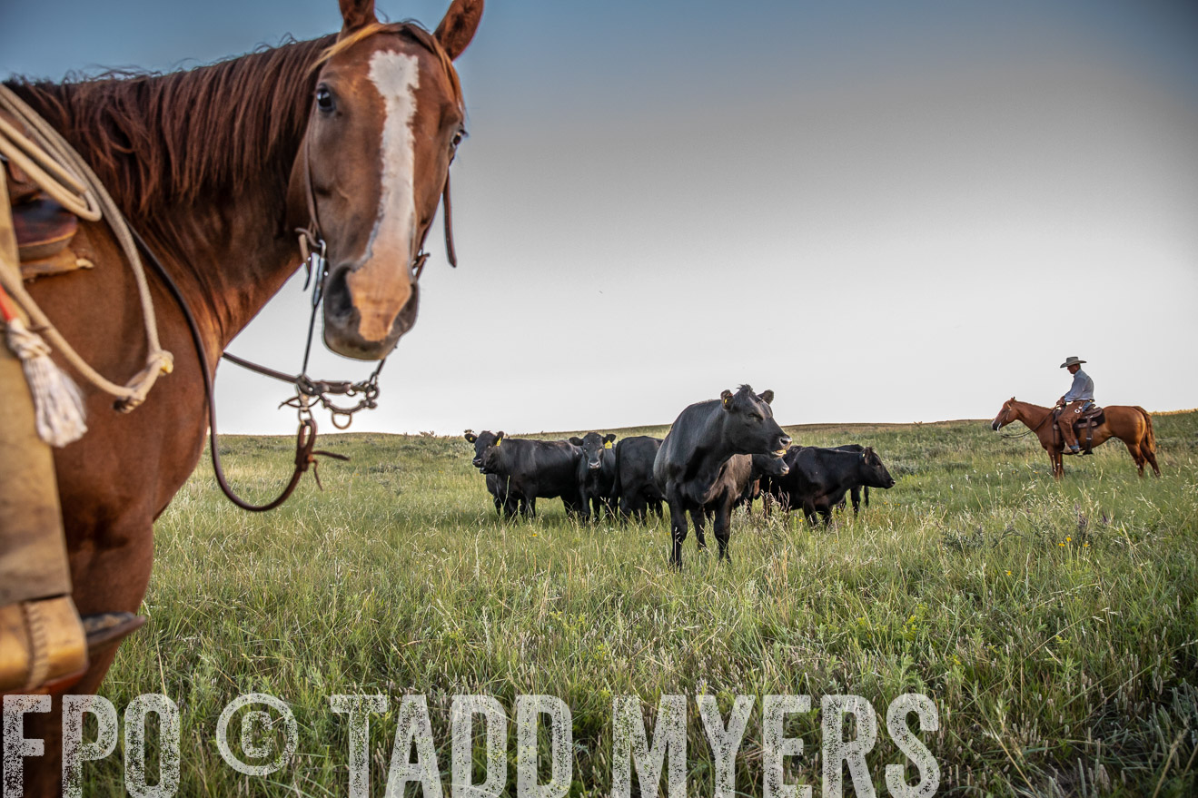 PP_TuckerRanch_NE_July2019-42746
