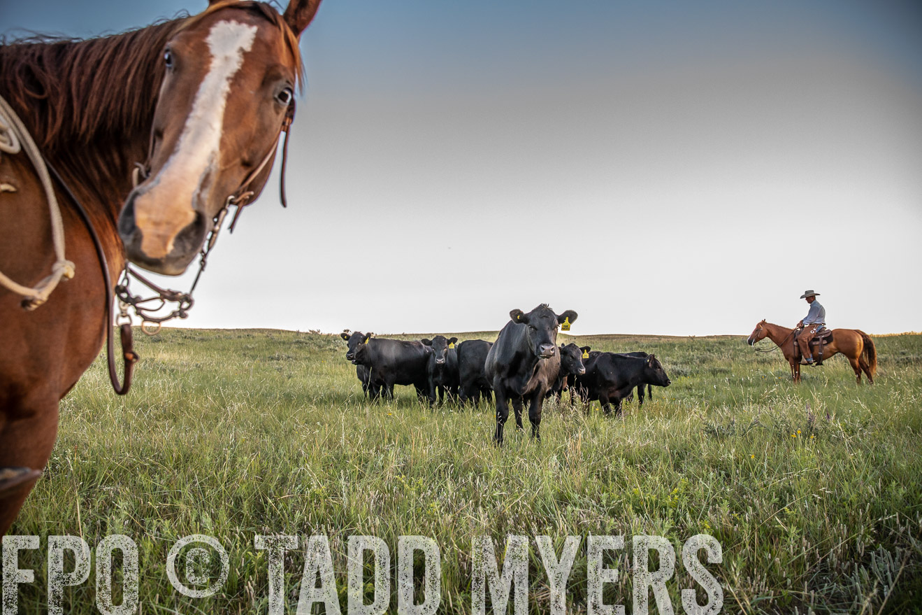 PP_TuckerRanch_NE_July2019-42747